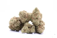 Blue Bruce Banner - Hybrid - 23%