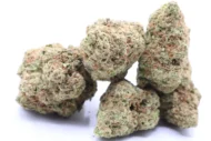 Blue Bruce Banner - Hybrid - 23% - Image 3