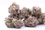 Imperial Phantom Face - Indica- 37% - Image 2