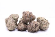 Butta Fingers - Sativa - 31%