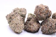 Butta Fingers - Sativa - 31% - Image 2