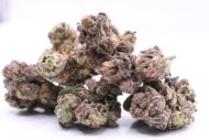Tropical Skittlez – Indica – 28% - Image 3