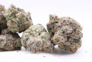 Amaretto Lime - Indica - 33% - Image 3