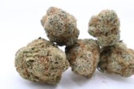 Kandy Runtz - Image 2