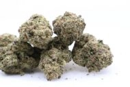 Grape Jelly - Image 3