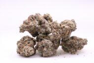 RipTide - Indica - 35%