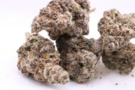 RipTide - Indica - 35% - Image 2