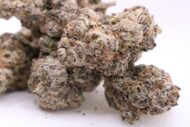 RipTide - Indica - 35% - Image 3