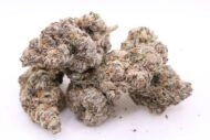 RipTide - Indica - 35% - Image 4